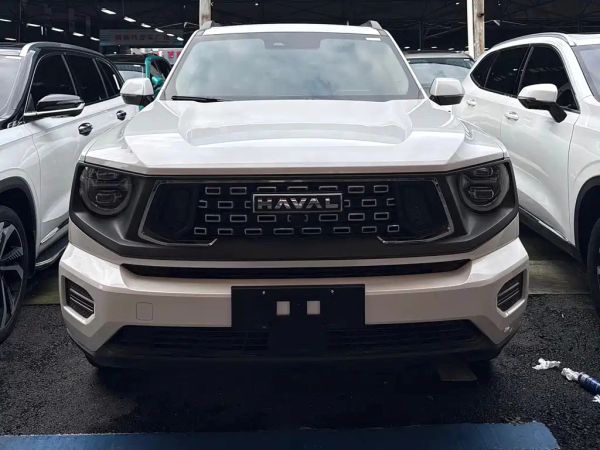 HAVAL BIG DOG II