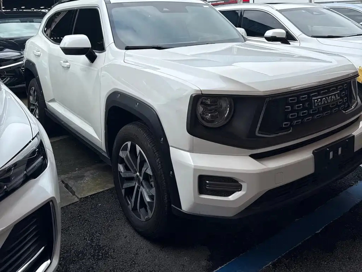 HAVAL BIG DOG II