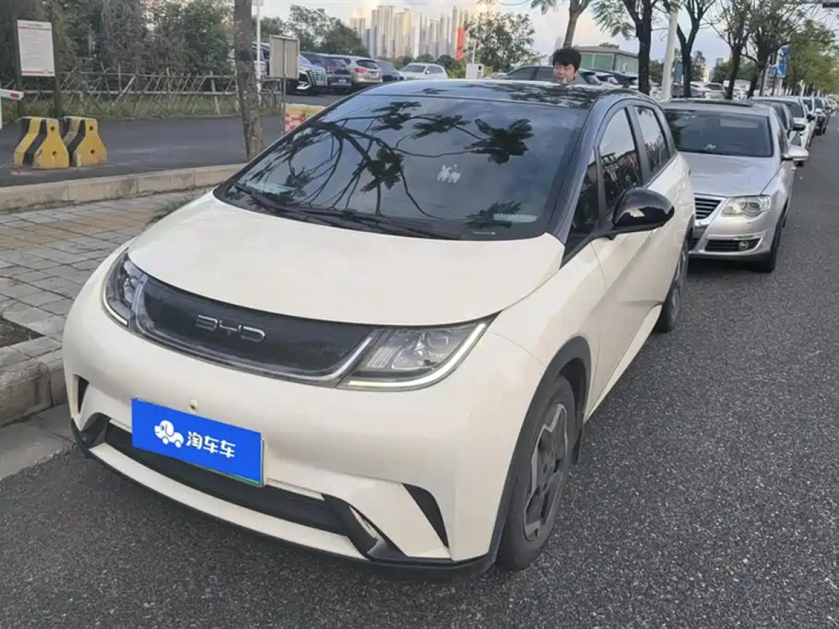 BYD DOLPHIN