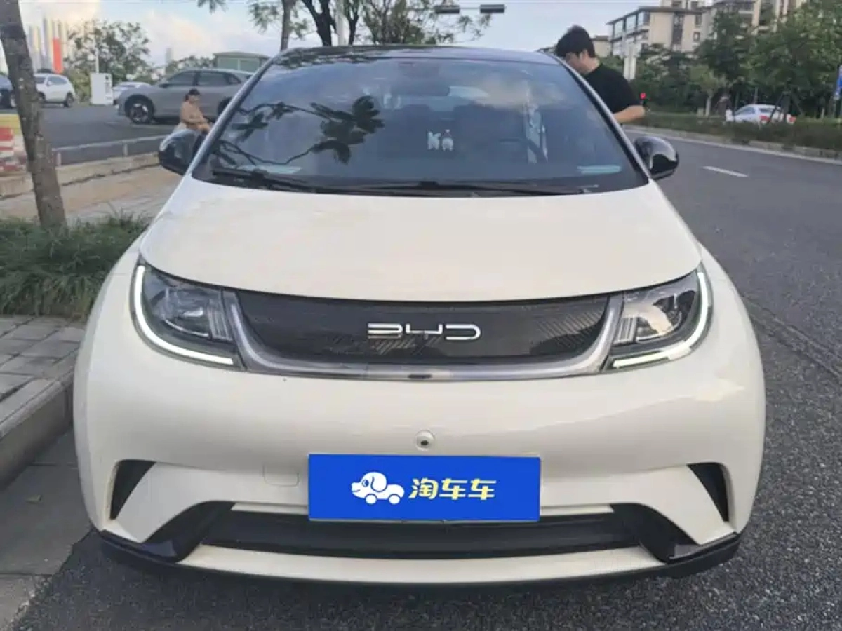 BYD DOLPHIN