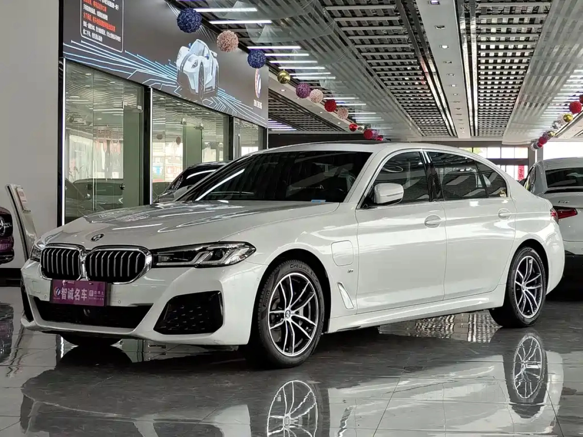 BMW 5-SERIES NEW ENERGY  2020