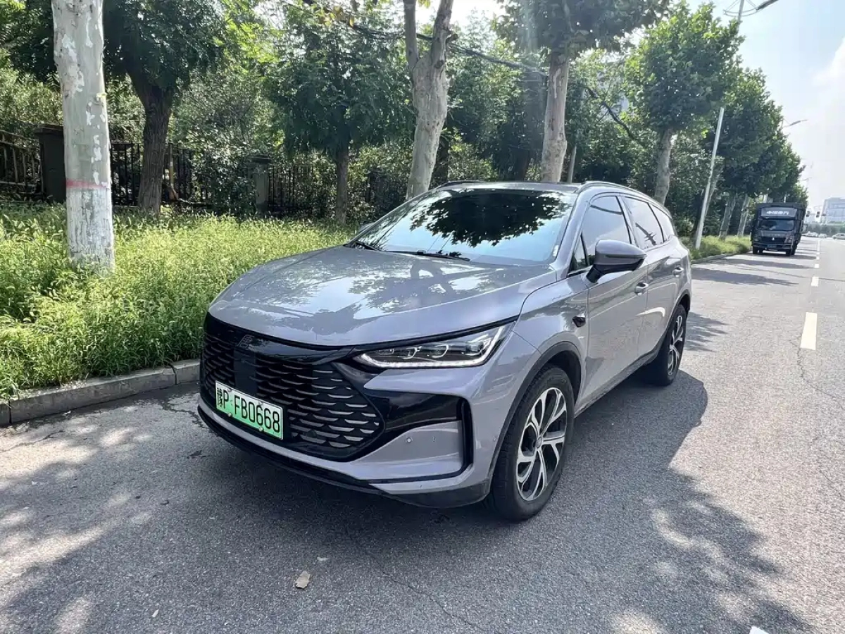 BYD TANG NEW ENERGY  2025