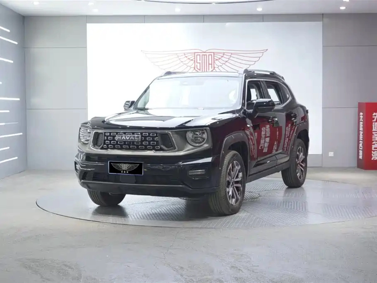 HAVAL BIG DOG II  2025