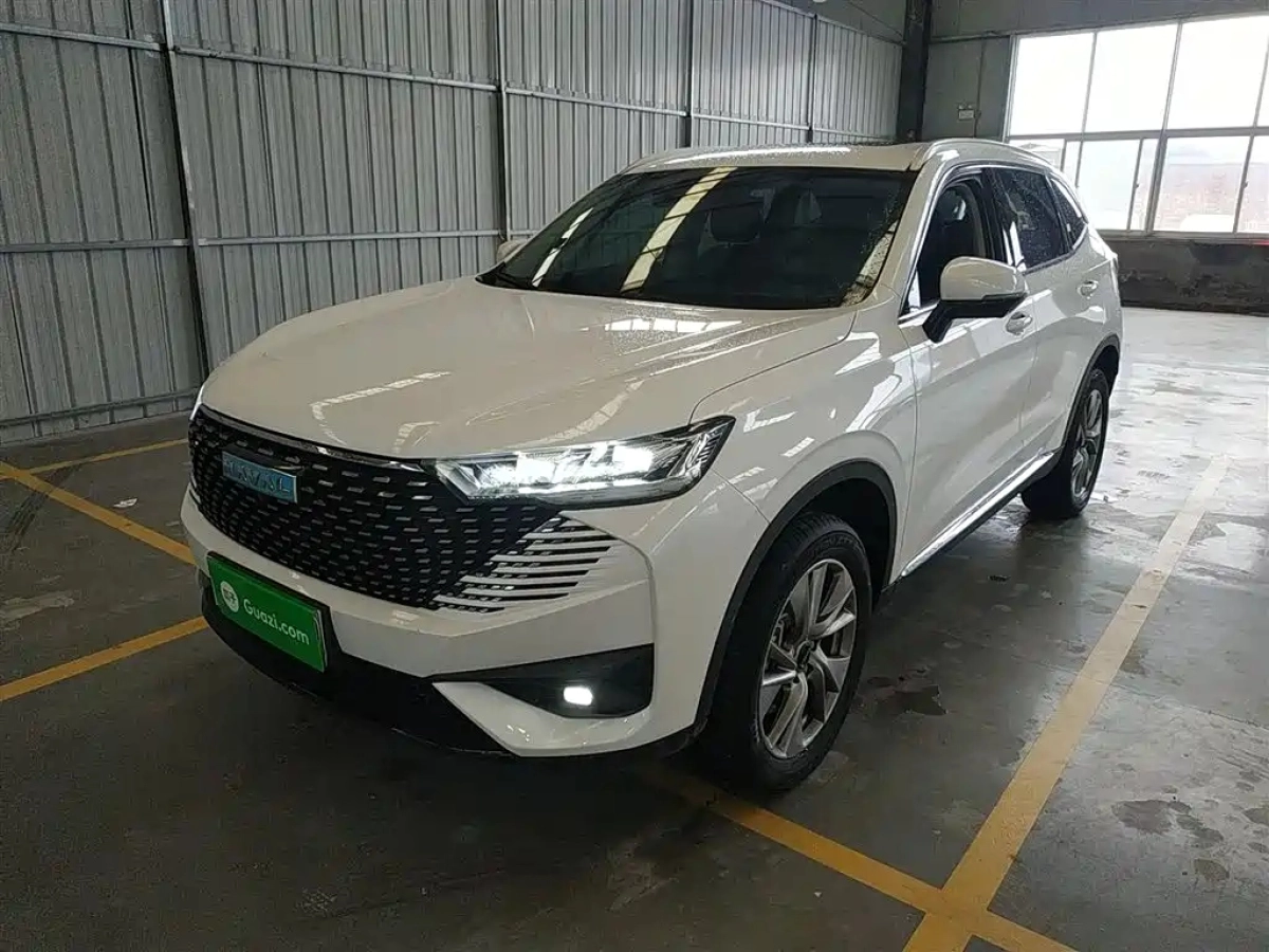HAVAL H6 NEW ENERGY