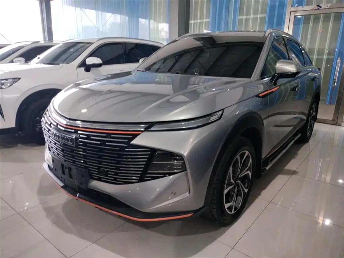 HAVAL SHENSHOU  2022