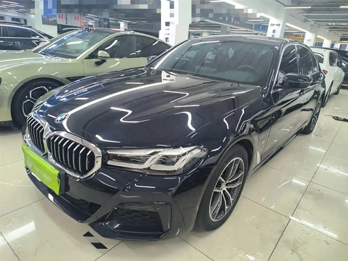 BMW 5-SERIES NEW ENERGY  2021