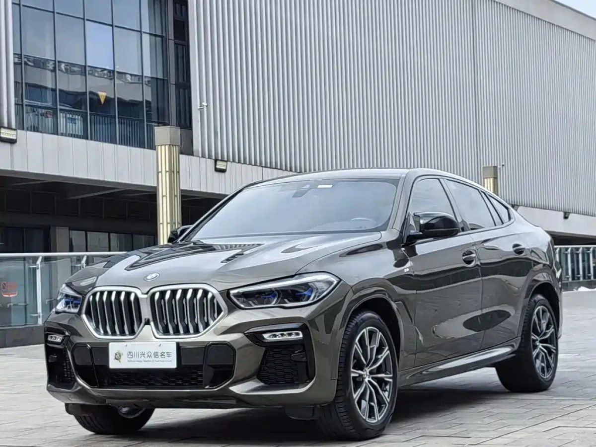 BMW X6