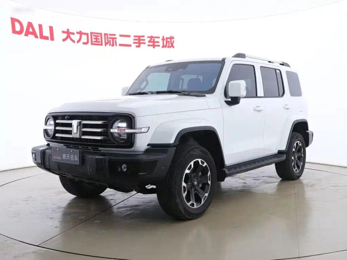 TANK 300 NEW ENERGY  2025