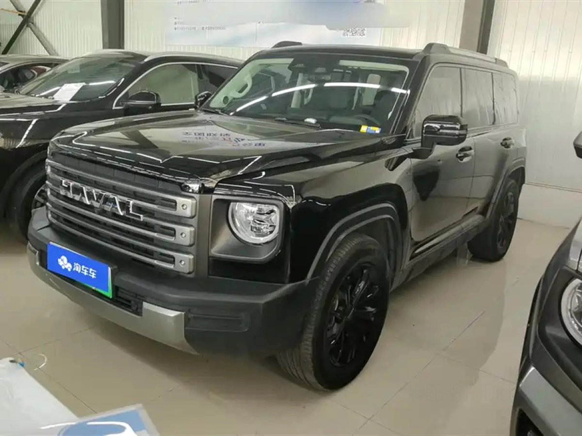 HAVAL RAPTOR NEW ENERGY