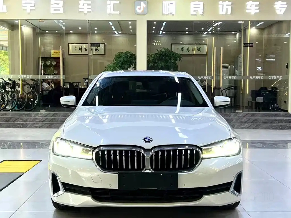 BMW 5-SERIES NEW ENERGY  2021