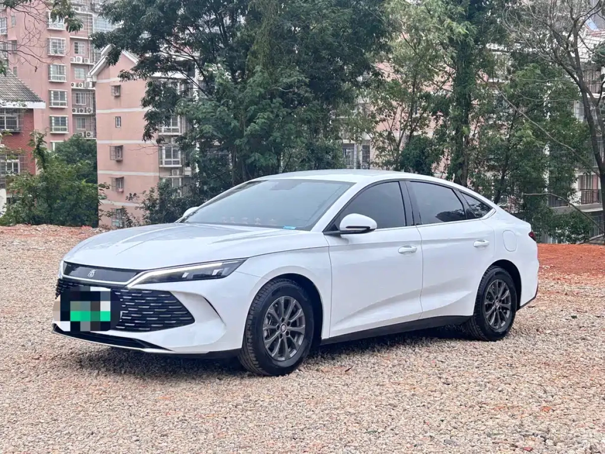 BYD QIN L  2024