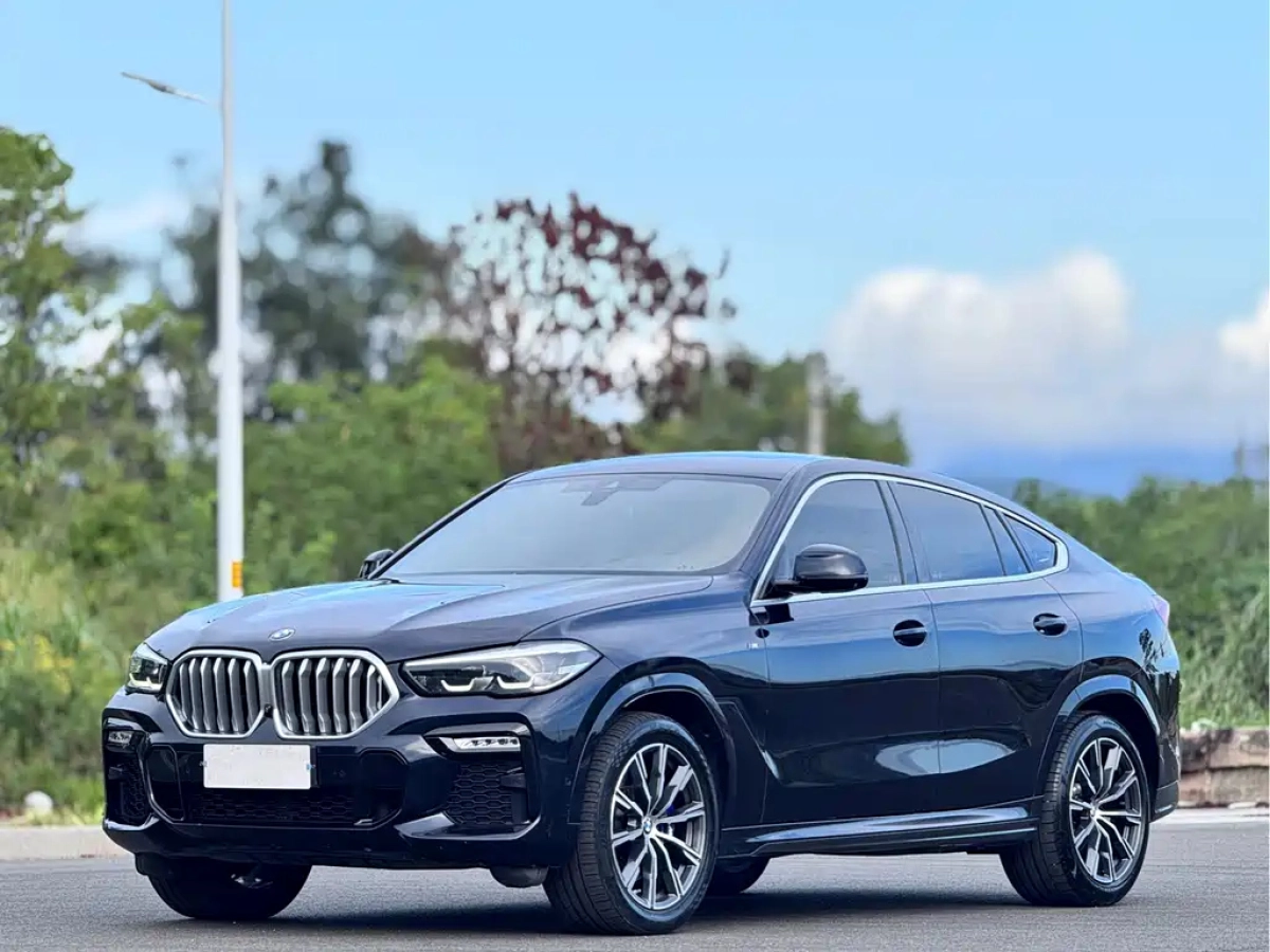 BMW X6
