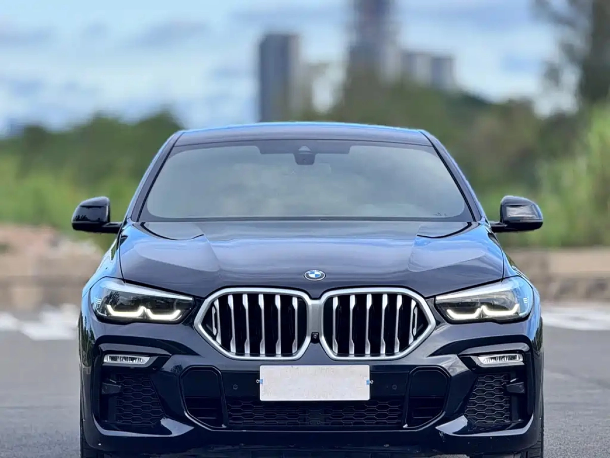 BMW X6