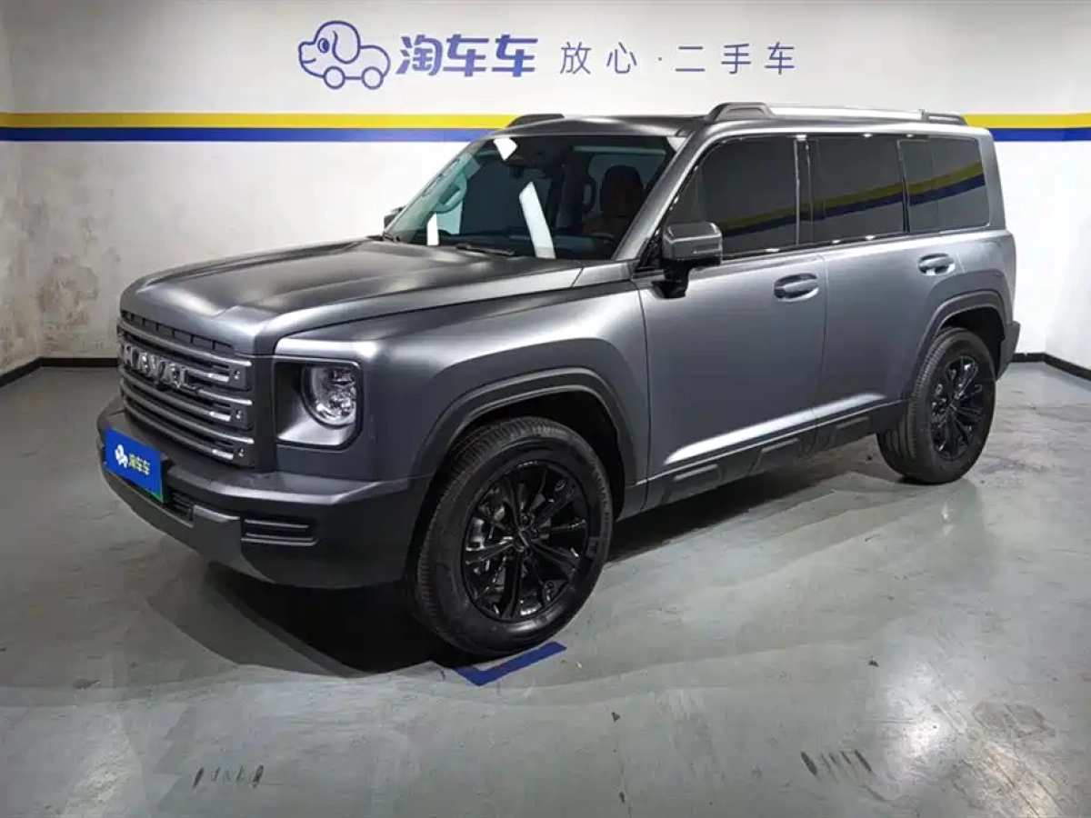 HAVAL RAPTOR NEW ENERGY