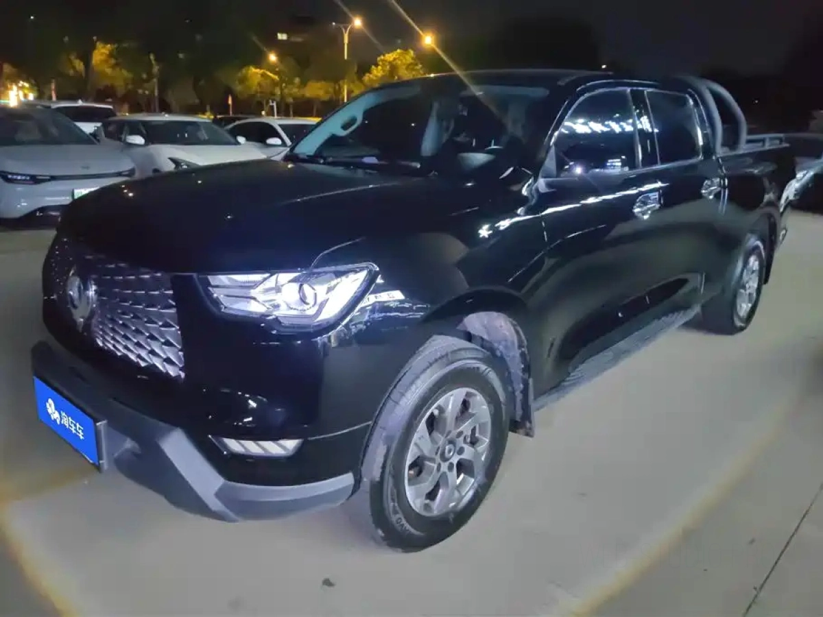 GREAT WALL POER  2022