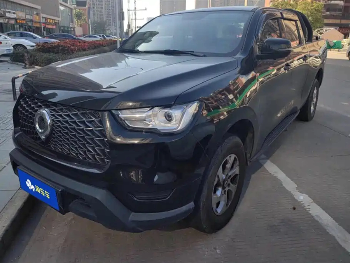 GREAT WALL POER  2021