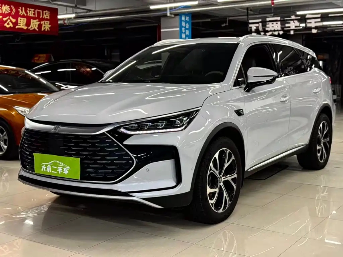 BYD TANG NEW ENERGY  2025