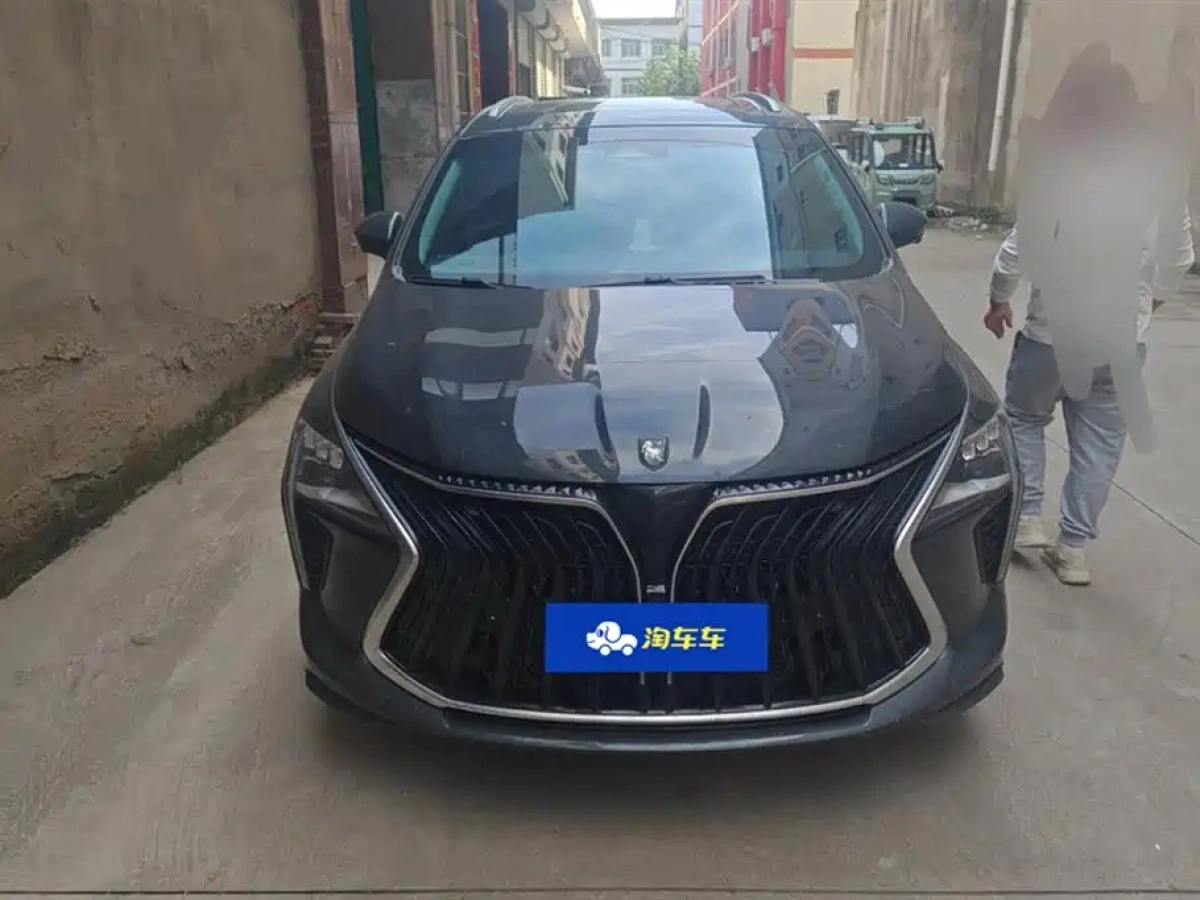 DONGFENG FORTHING 游艇