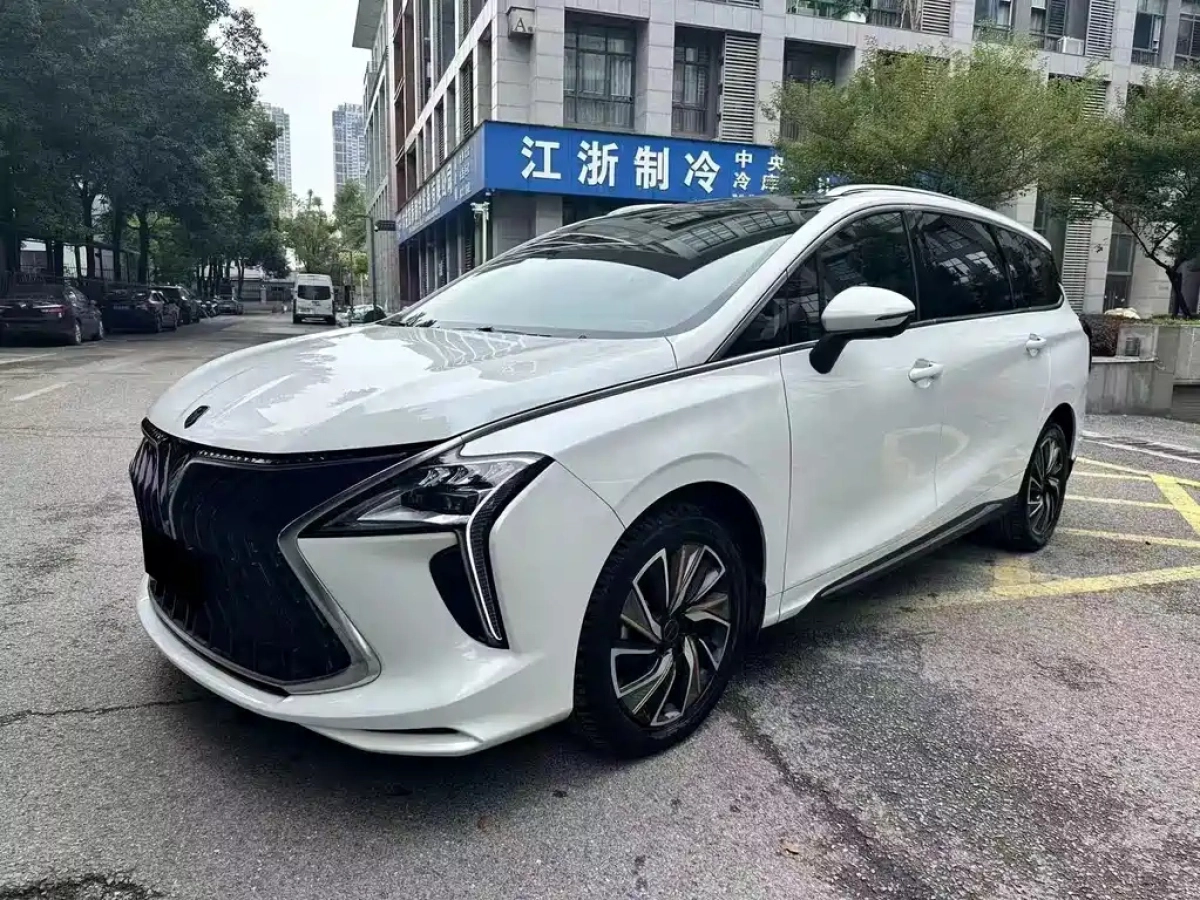 DONGFENG FORTHING 游艇