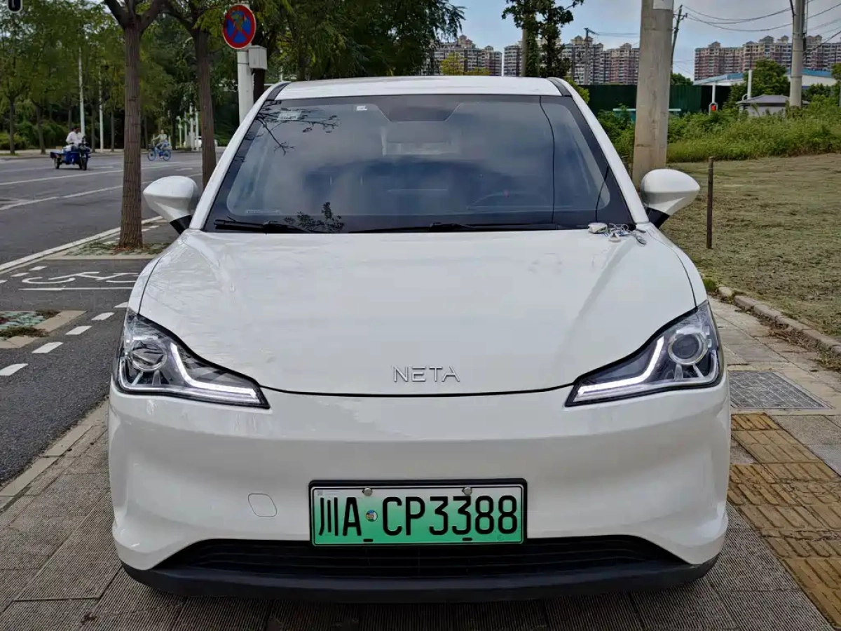 NETA AUTO V