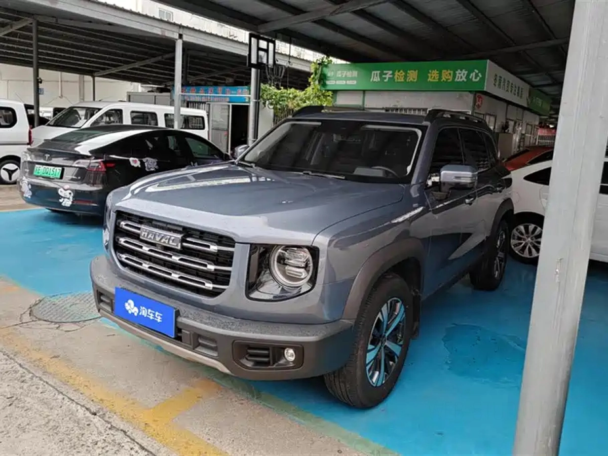 HAVAL BIG DOG