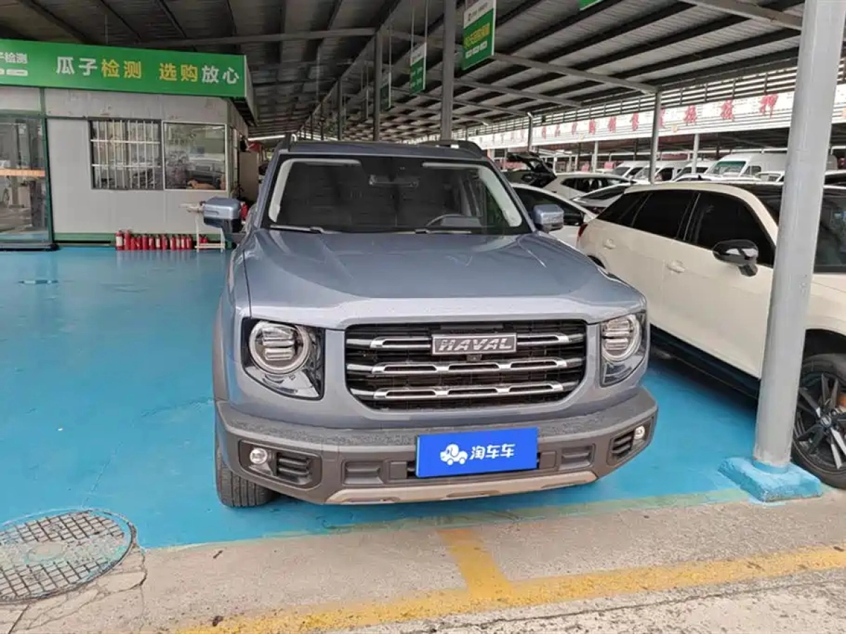 HAVAL BIG DOG