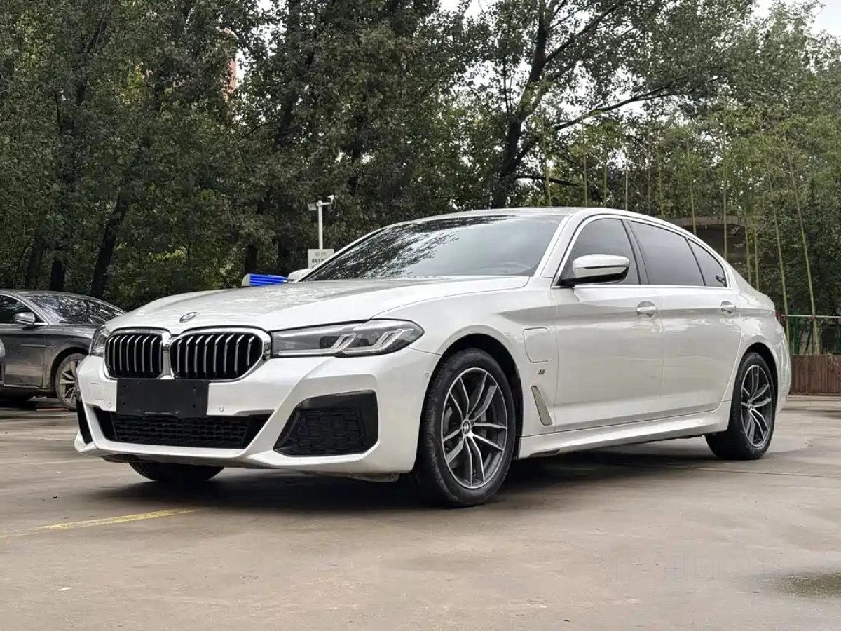 BMW 5-SERIES NEW ENERGY