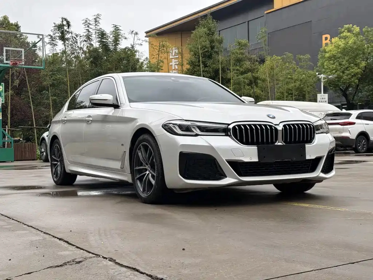 BMW 5-SERIES NEW ENERGY