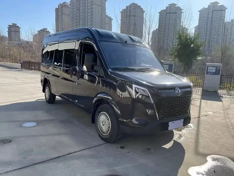 DONGFENG OTHER