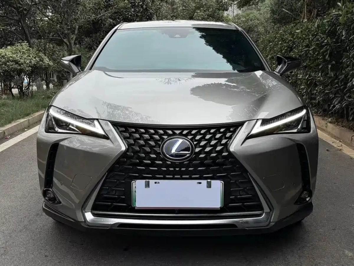 LEXUS UX NEW ENERGY