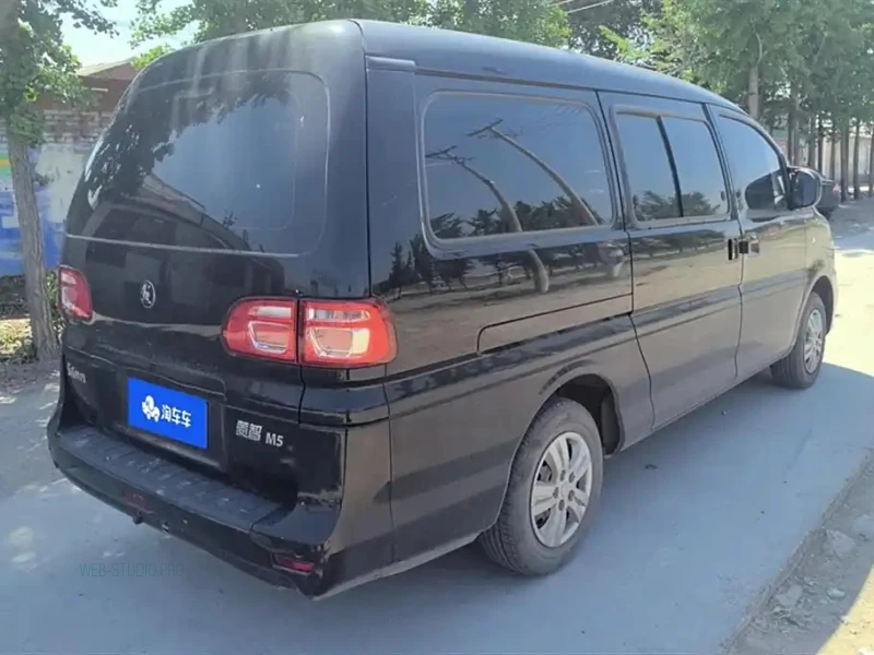 DONGFENG LINGZHI