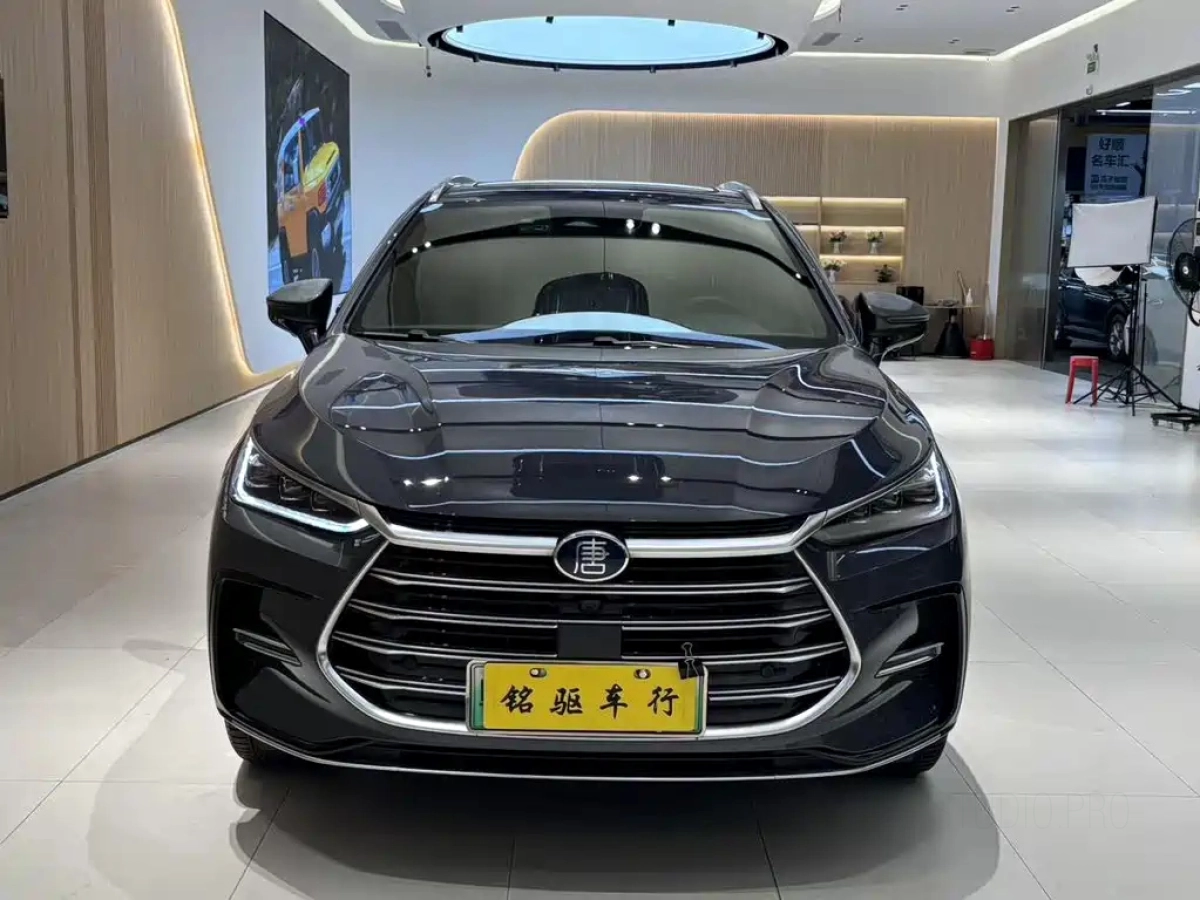 BYD TANG NEW ENERGY
