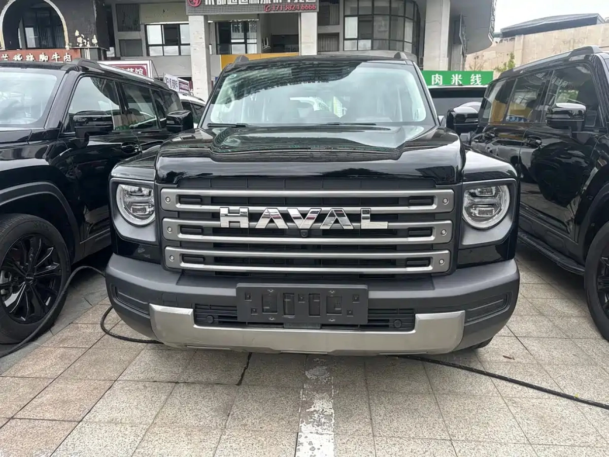 HAVAL RAPTOR NEW ENERGY