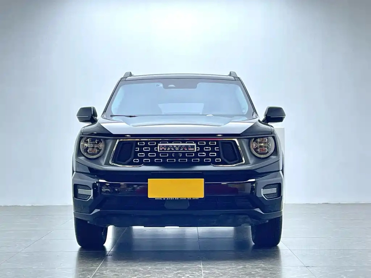 HAVAL BIG DOG II