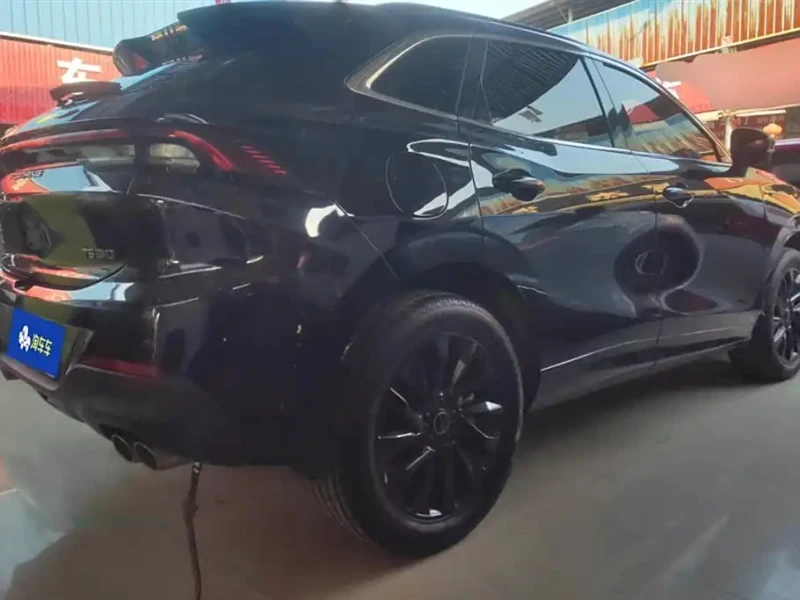 DONGFENG FORTHING T5 EVO