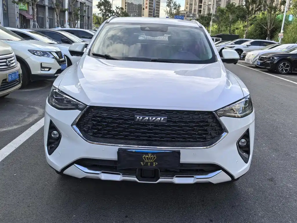 HAVAL F7X