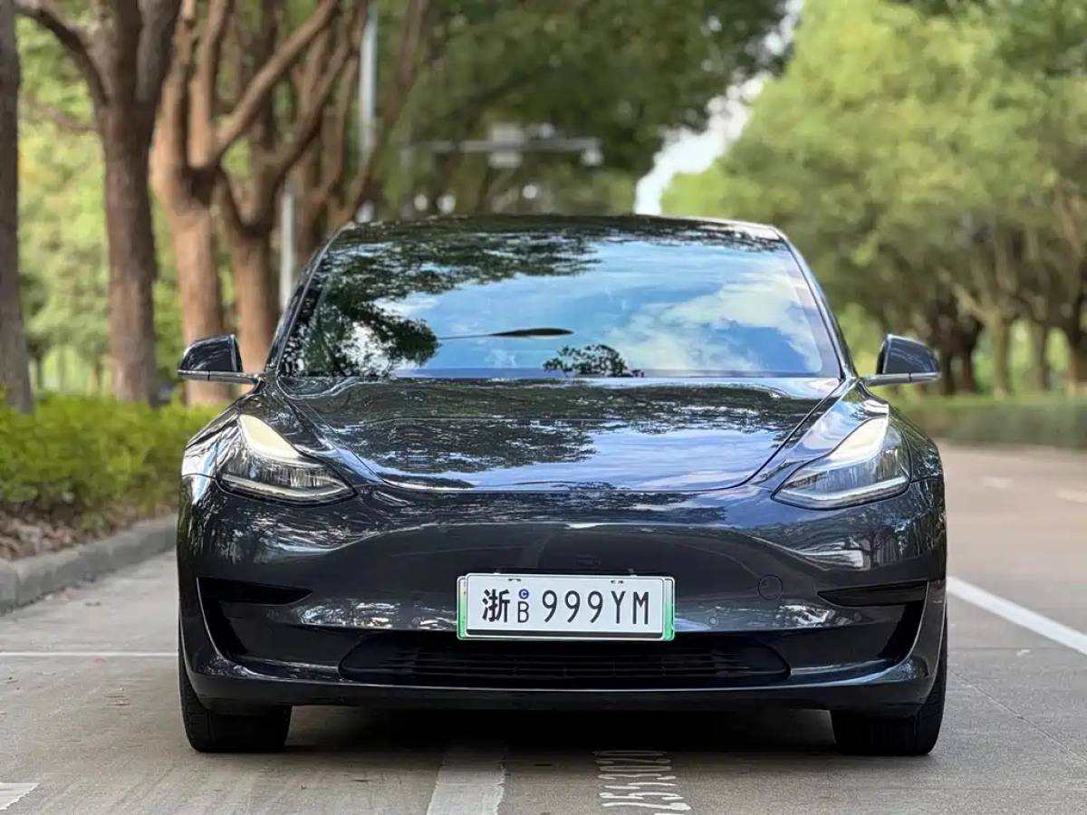 TESLA MODEL 3
