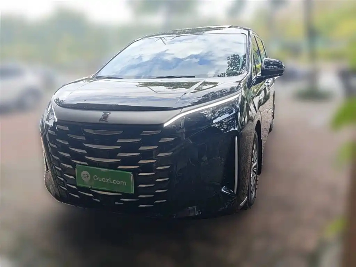 BYD XIA  2025