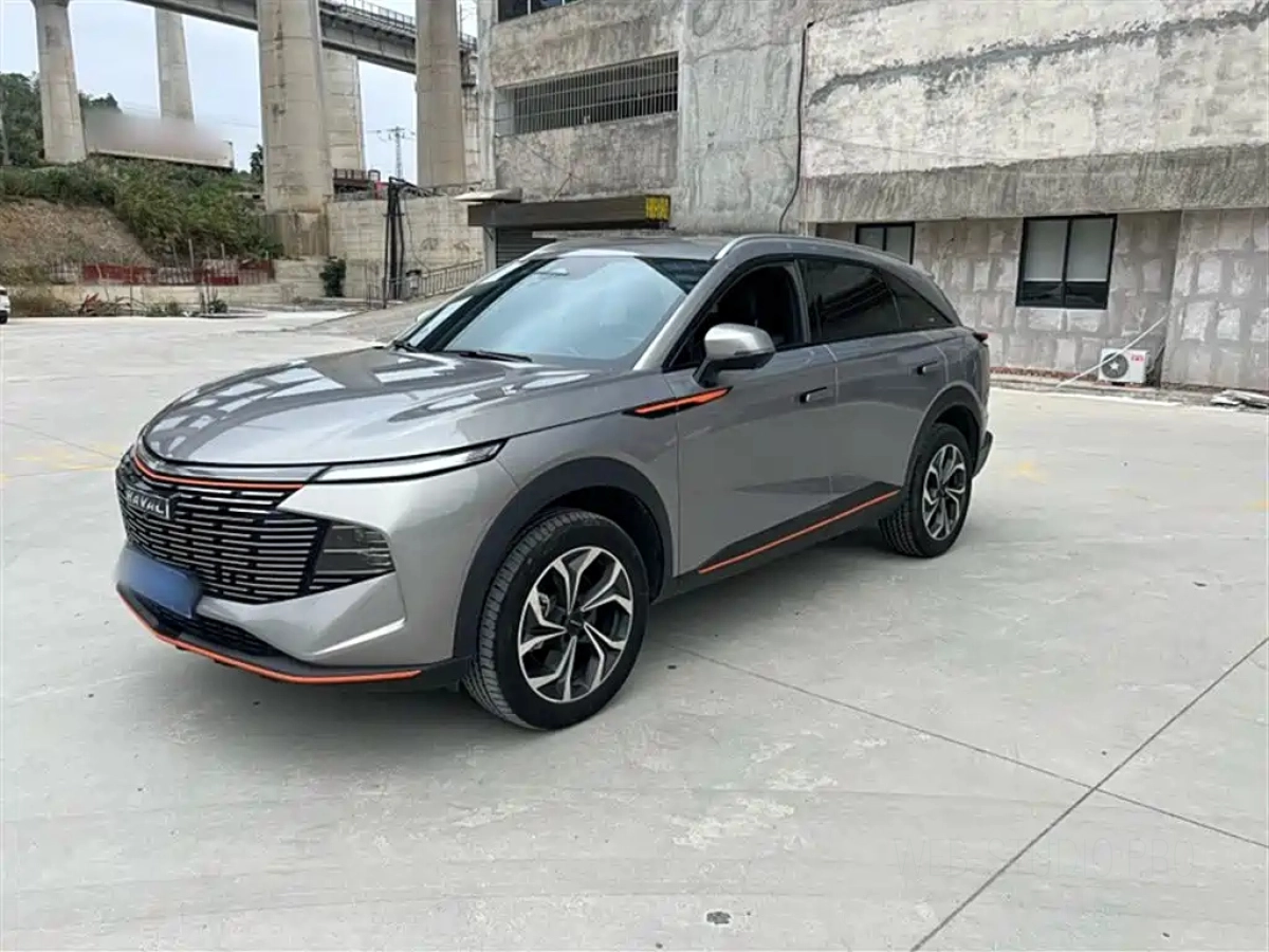 HAVAL SHENSHOU  2023