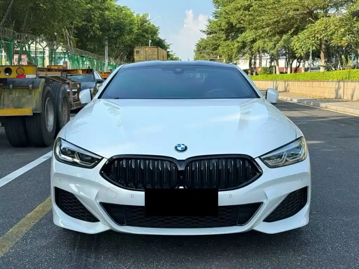 BMW 8-SERIES