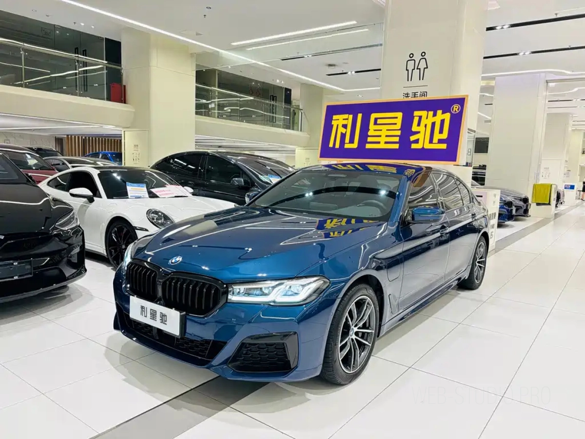 BMW 5-SERIES NEW ENERGY  2021