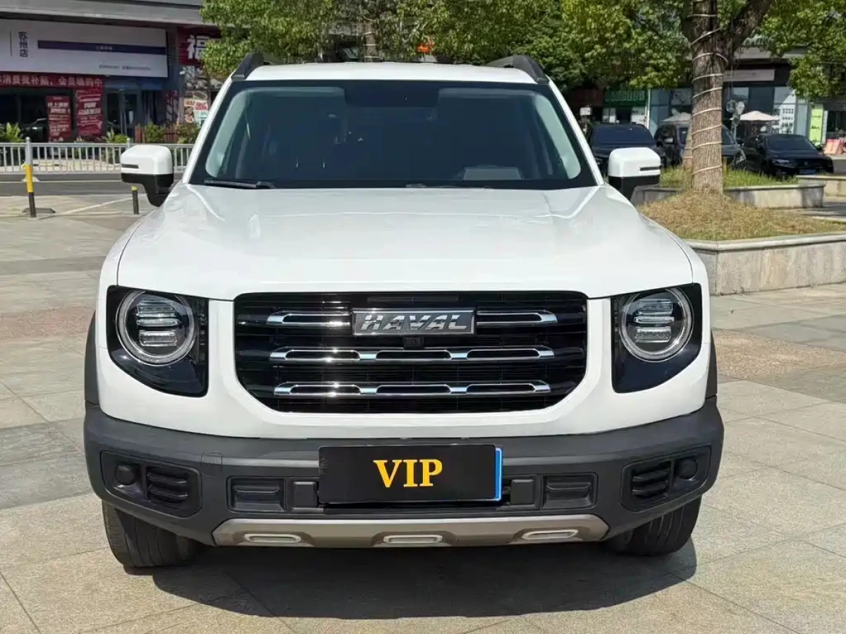 HAVAL BIG DOG