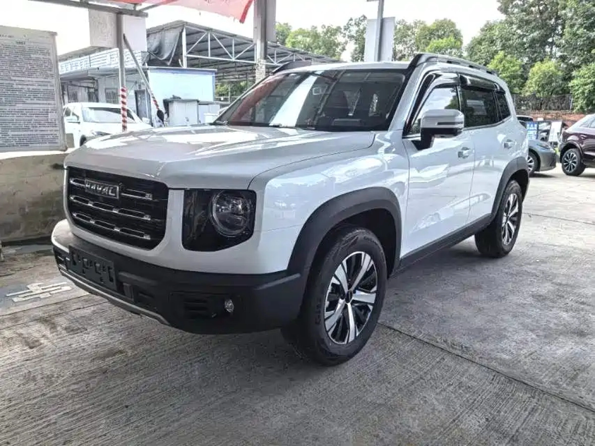 HAVAL BIG DOG