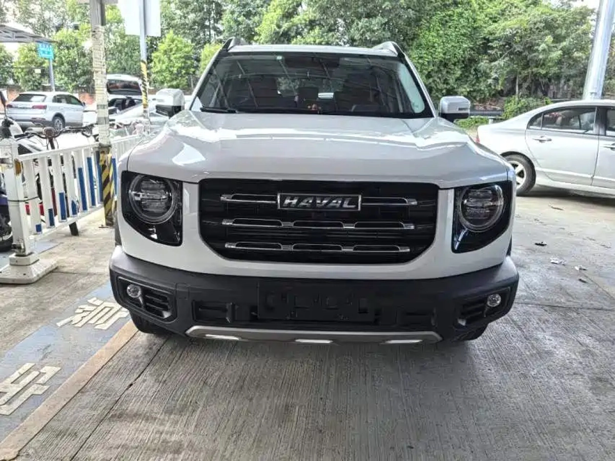 HAVAL BIG DOG