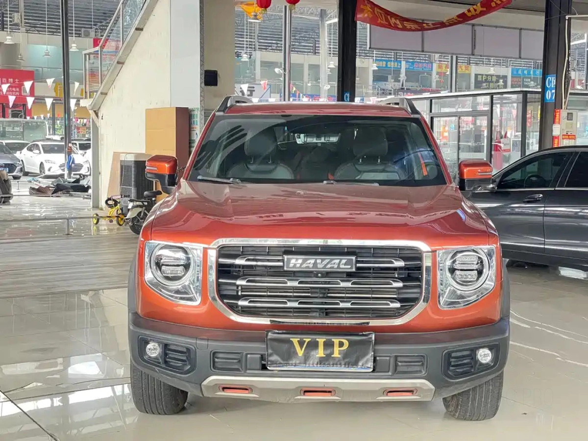 HAVAL BIG DOG
