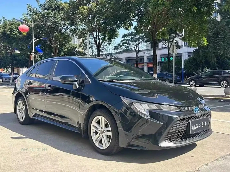 TOYOTA RALINK