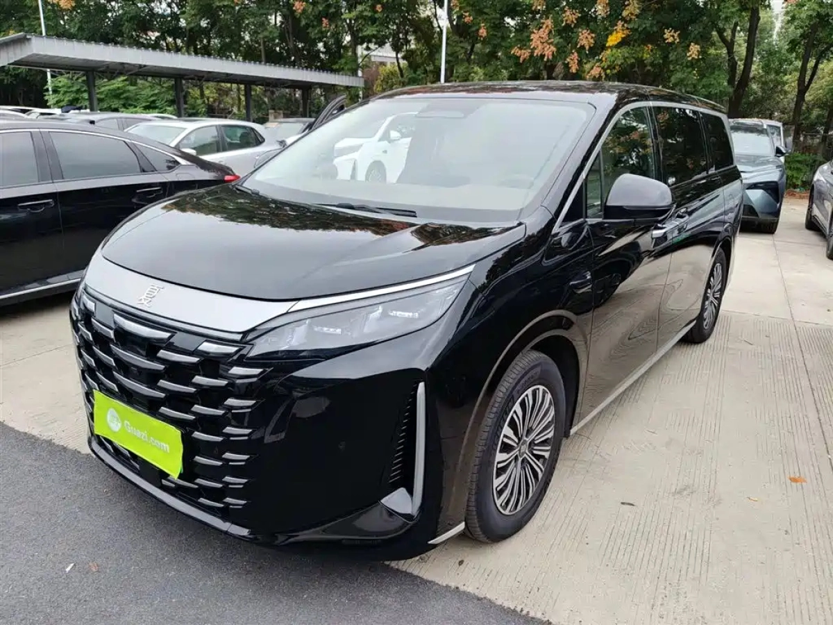 BYD XIA  2025