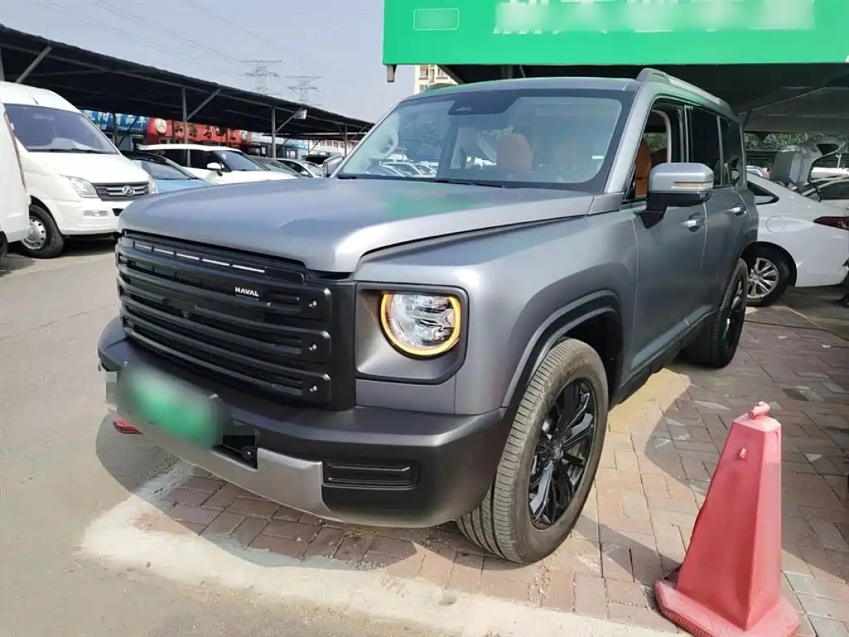 HAVAL RAPTOR NEW ENERGY  2024