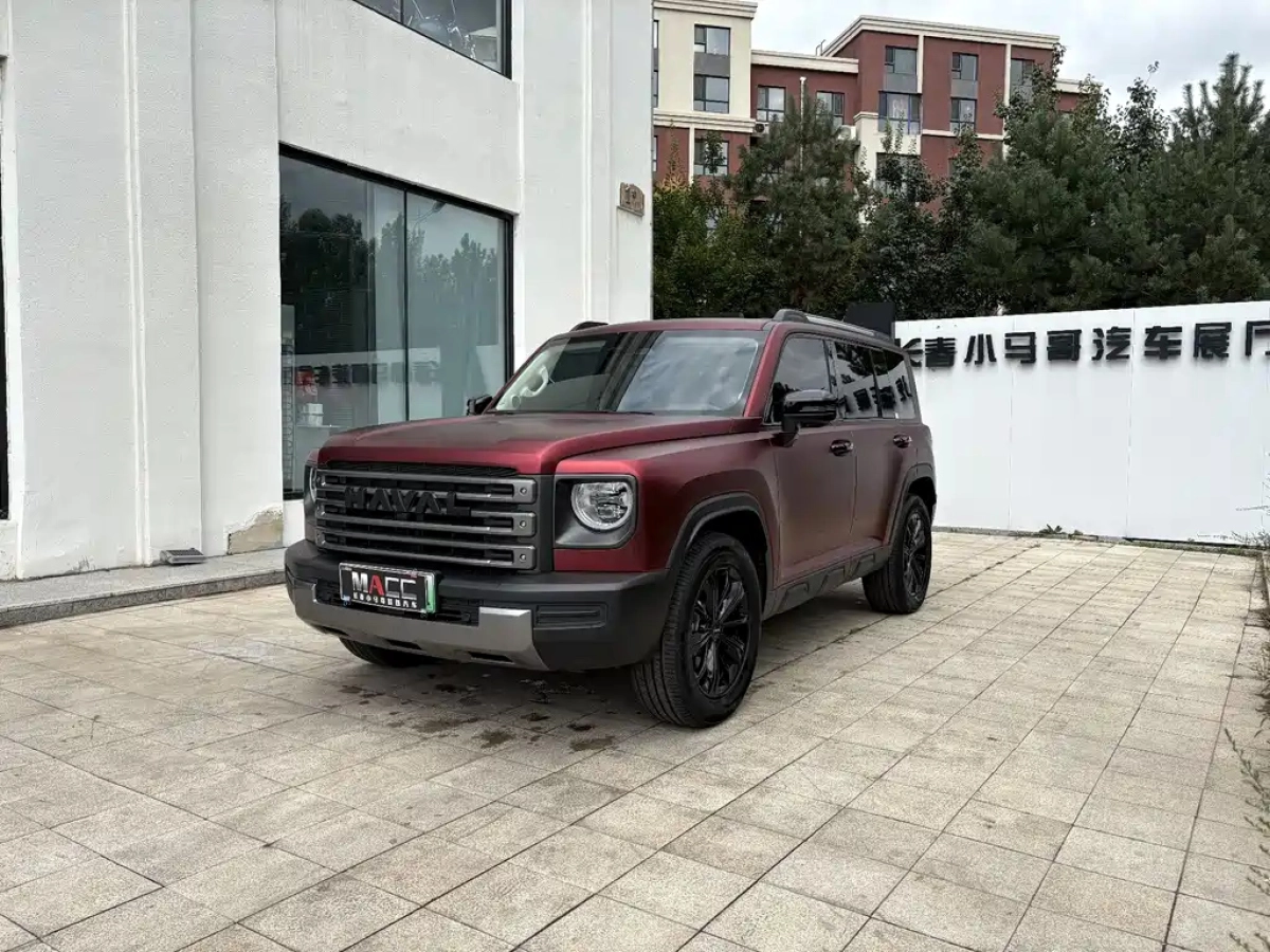 HAVAL RAPTOR NEW ENERGY  2024