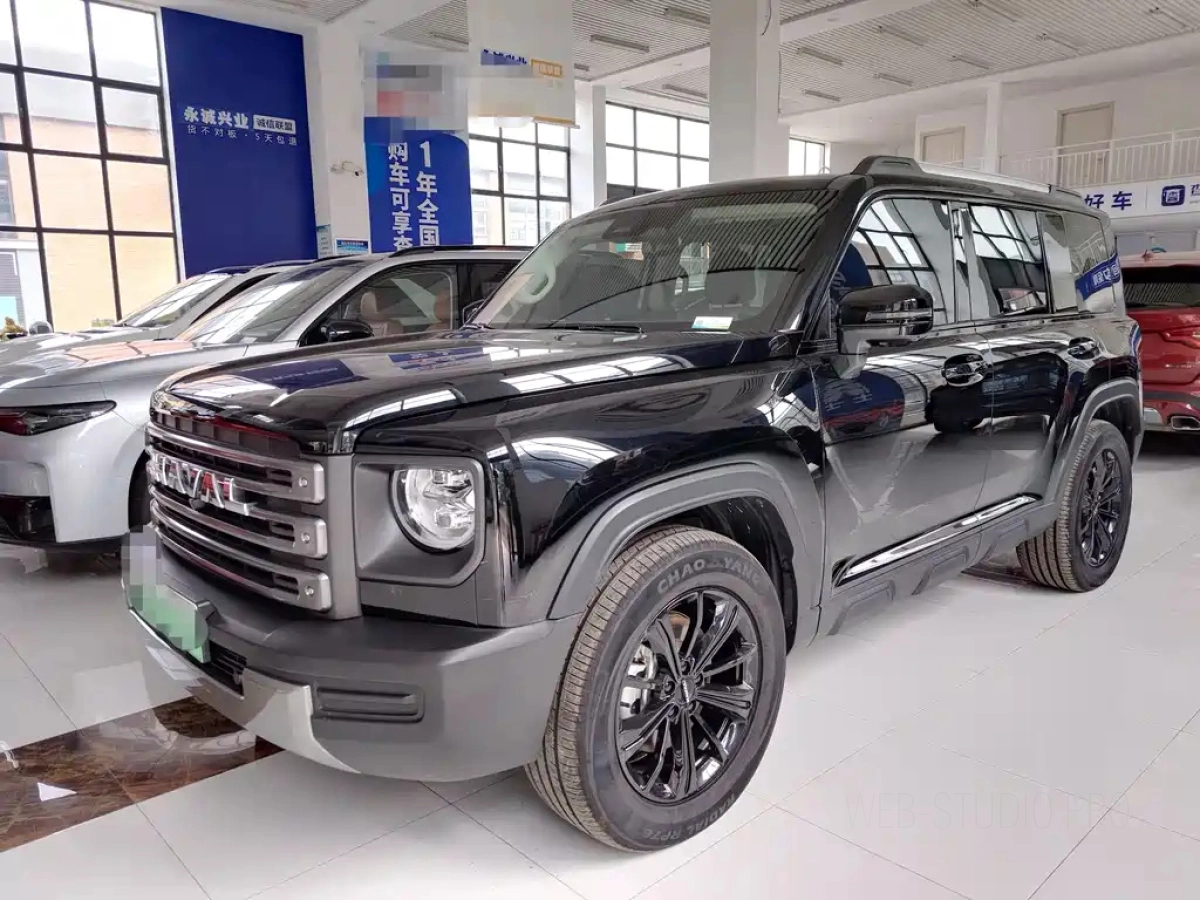 HAVAL RAPTOR NEW ENERGY  2024
